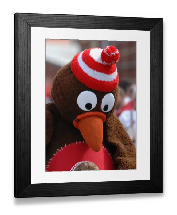Framed Print : Behind the Scenes: 08-09 Bristol City FC First Team Open Day