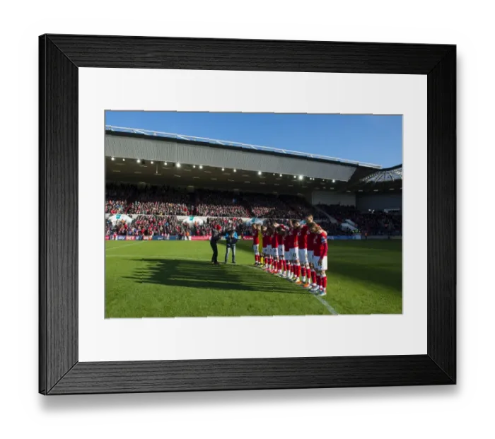 Framed Print : Bristol City v Hull City 211115 Framed Print : Bristol City v Hull City 211115