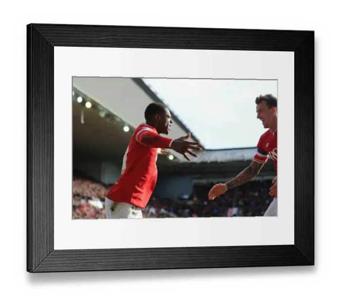 Framed Print : Bristol City's Kieran Agard Rejoices in His Goal Against Hull City, 2015 Framed Print : Bristol City's Kieran Agard Rejoices in His Goal Against Hull City, 2015
