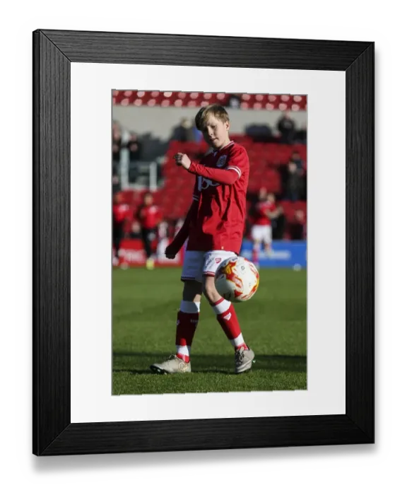 Framed Print : Football Rivalry: Bristol City vs Hull City Clash at Ashton Gate Stadium, 2015 Framed Print : Football Rivalry: Bristol City vs Hull City Clash at Ashton Gate Stadium, 2015
