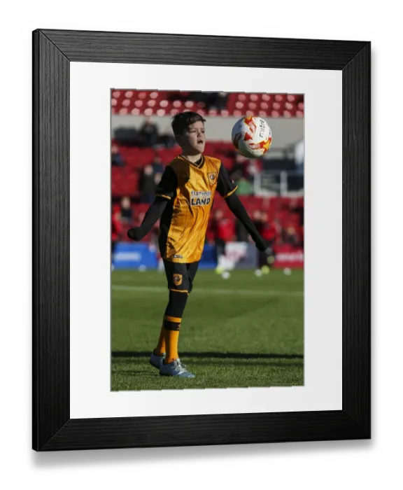 Framed Print : Bristol City vs Hull City: Football Rivalry Unfolds at Ashton Gate Stadium, 2015