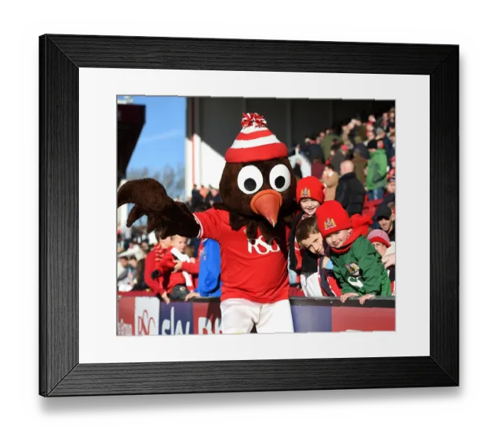 Framed Print : Bristol City Fans Celebrate with Scrumpy at Ashton Gate Stadium, 2015 Framed Print : Bristol City Fans Celebrate with Scrumpy at Ashton Gate Stadium, 2015