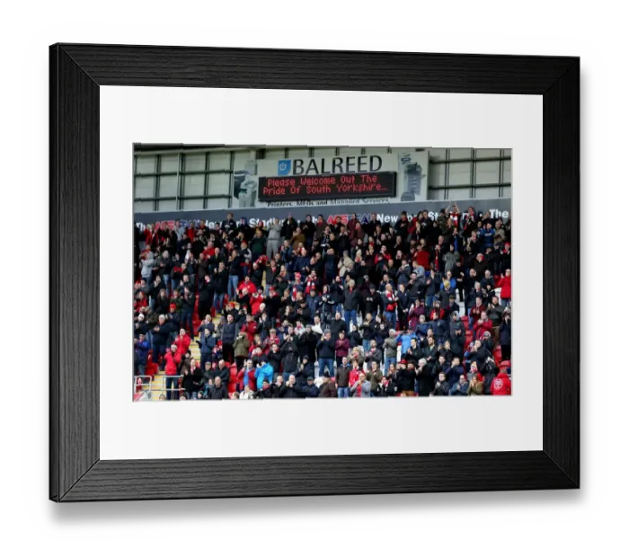 Framed Print : Bristol City Fans in Action at Rotherham United Match, Sky Bet Championship (November 2015) Framed Print : Bristol City Fans in Action at Rotherham United Match, Sky Bet Championship (November 2015)