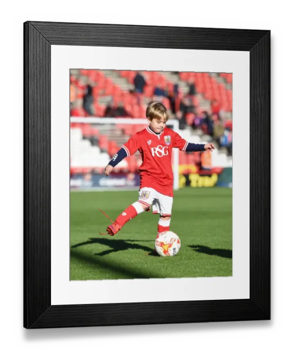 Framed Print : Sky Bet Championship Showdown: Bristol City vs Hull City at Ashton Gate Stadium (November 2015)
