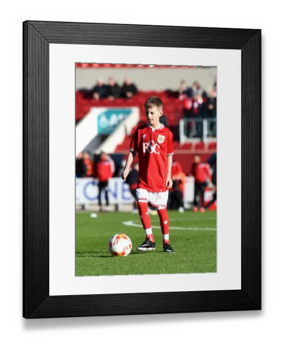 Framed Print : Sky Bet Championship Showdown: Bristol City vs Hull City at Ashton Gate Stadium (November 2015)