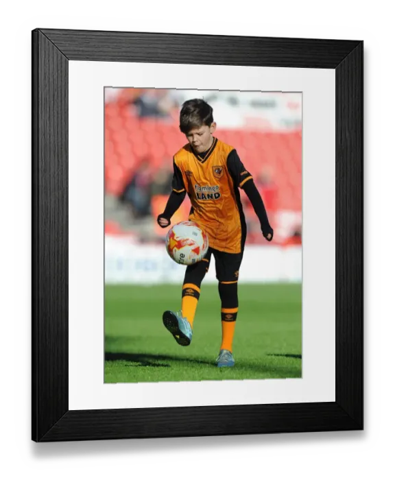 Framed Print : Sky Bet Championship Showdown: Bristol City vs Hull City at Ashton Gate Stadium (November 2015)