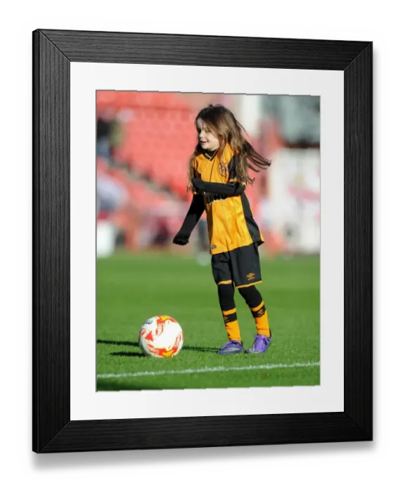 Framed Print : Sky Bet Championship Showdown: Bristol City vs Hull City at Ashton Gate Stadium (November 2015)