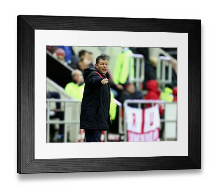 Framed Print : Steve Cotterill Leads Bristol City at Rotherham United, Sky Bet Championship (November 2015)