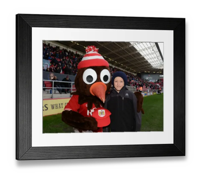 Framed Print : Bristol City vs Hull City Clash at Ashton Gate, 2015