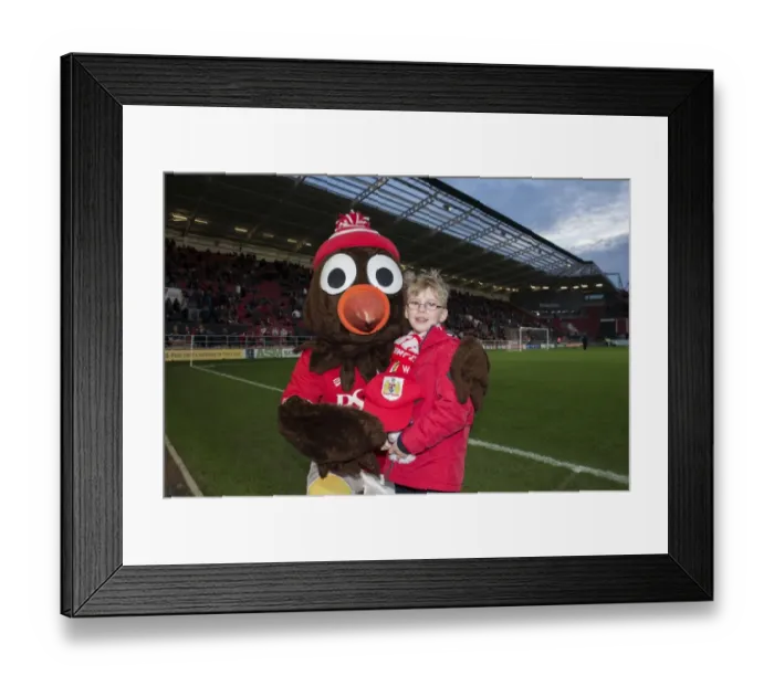 Framed Print : Bristol City vs. Blackburn Rovers Clash in Sky Bet Championship at Ashton Gate (December 2015) Framed Print : Bristol City vs. Blackburn Rovers Clash in Sky Bet Championship at Ashton Gate (December 2015)