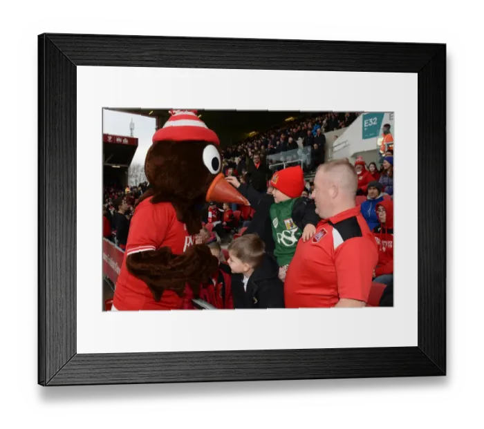Framed Print : Sea of Scrumpy: A Fanatical Crowd at Ashton Gate during Bristol City vs Blackburn Rovers, 2015