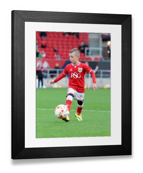 Framed Print : Bristol City vs. Blackburn Rovers Clash at Ashton Gate Stadium, Sky Bet Championship (December 2015) Framed Print : Bristol City vs. Blackburn Rovers Clash at Ashton Gate Stadium, Sky Bet Championship (December 2015)