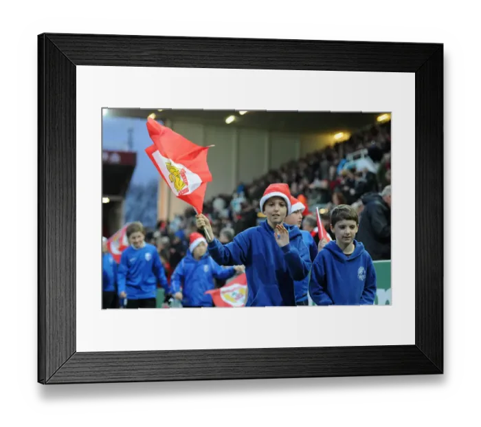 Framed Print : Bristol City vs QPR: Flag Bearers at Ashton Gate, 2015