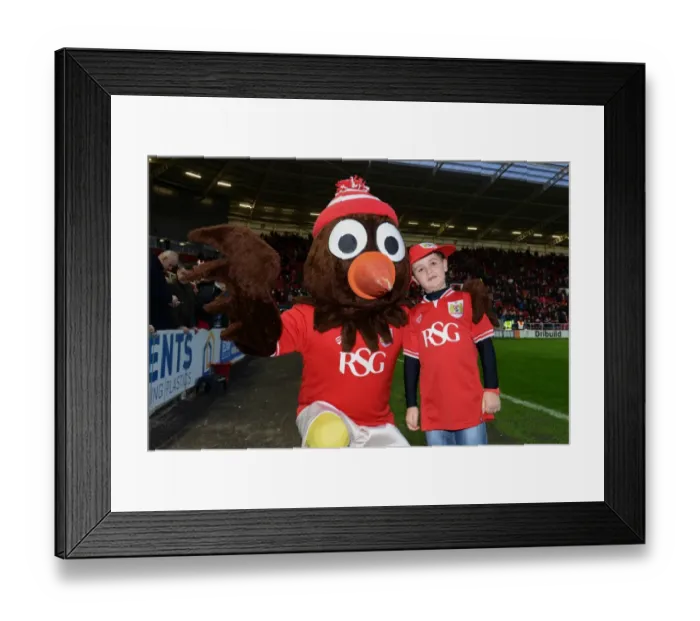 Framed Print : Bristol City vs QPR Clash at Ashton Gate, Sky Bet Championship (December 2015)