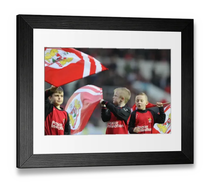 Framed Print : Bristol City Football Club: Flag-Bearing Supporters at Ashton Gate, 2015 Framed Print : Bristol City Football Club: Flag-Bearing Supporters at Ashton Gate, 2015