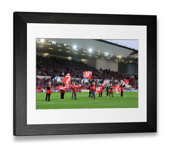 Framed Print : Bristol City Flag Bearers at Ashton Gate during Bristol City vs QPR, Sky Bet Championship Match, 2015 Framed Print : Bristol City Flag Bearers at Ashton Gate during Bristol City vs QPR, Sky Bet Championship Match, 2015