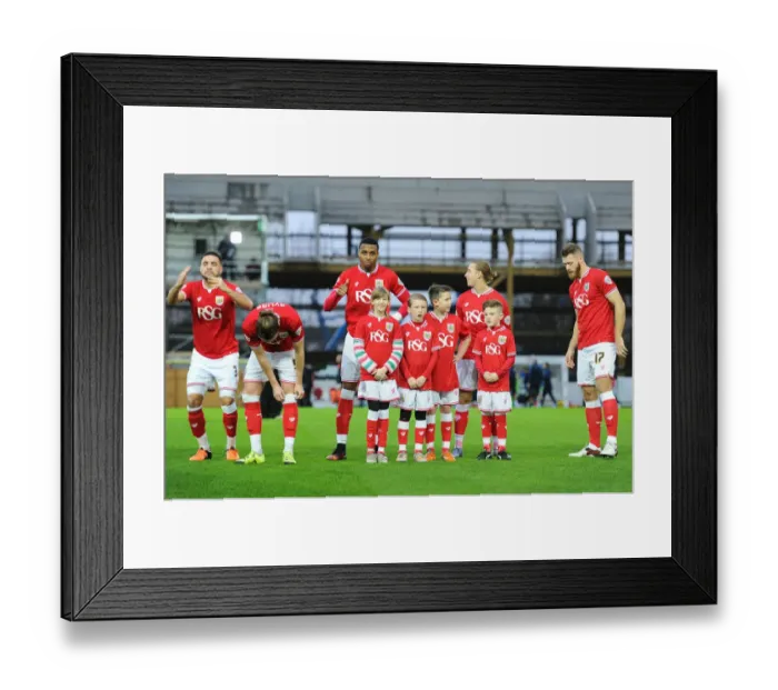Framed Print : Bristol City vs QPR Mascot Clash in Sky Bet Championship Match, Ashton Gate, 2015
