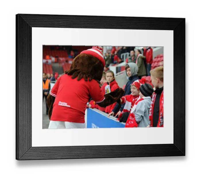 Framed Print : Bristol City Fans Welcome Scrumpy Mascot at Ashton Gate during Bristol City vs QPR Match, Sky Bet Championship (19 / 12 / 2015)