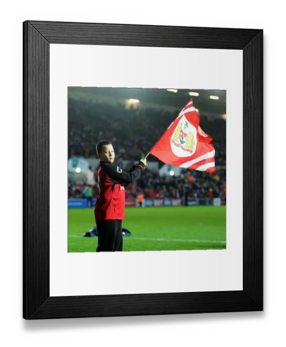 Framed Print : Bristol City vs Queens Park Rangers Championship Clash at Ashton Gate Stadium (19 / 12 / 2015)