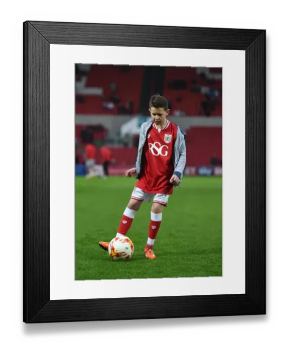 Framed Print : Bristol City vs. Queens Park Rangers: Sky Bet Championship Clash at Ashton Gate Stadium (December 19, 2015)