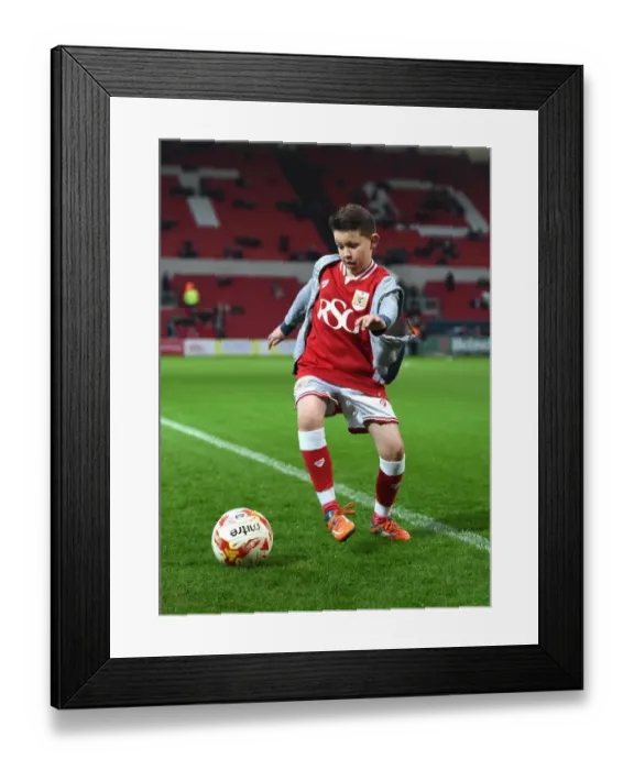 Framed Print : Bristol City vs Queens Park Rangers Clash at Ashton Gate Stadium, Sky Bet Championship (12 / 19 / 2015) Framed Print : Bristol City vs Queens Park Rangers Clash at Ashton Gate Stadium, Sky Bet Championship (12 / 19 / 2015)