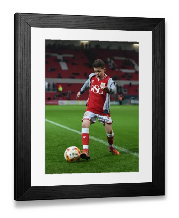 Framed Print : Bristol City vs Queens Park Rangers Clash at Ashton Gate Stadium, Sky Bet Championship (12 / 19 / 2015) Framed Print : Bristol City vs Queens Park Rangers Clash at Ashton Gate Stadium, Sky Bet Championship (12 / 19 / 2015)