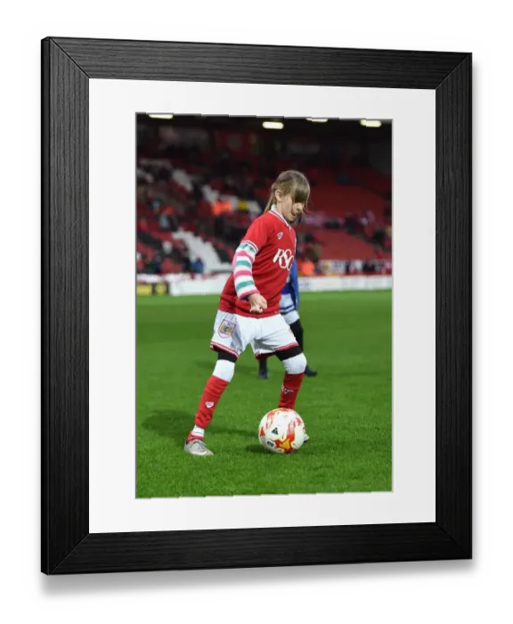 Framed Print : Bristol City vs Queens Park Rangers Clash at Ashton Gate Stadium, Sky Bet Championship (12 / 19 / 2015)