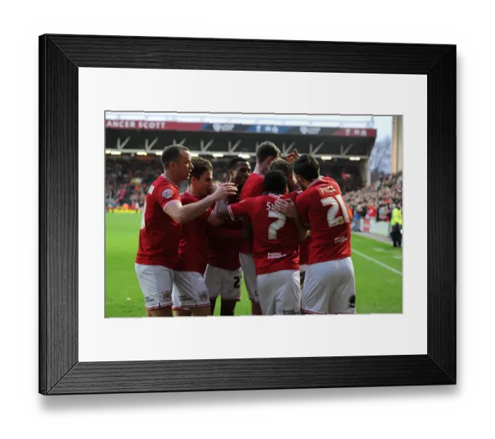 Framed Print : Bristol City Celebrates Win Against Charlton Athletic: Aden Flint's Emotional Moment