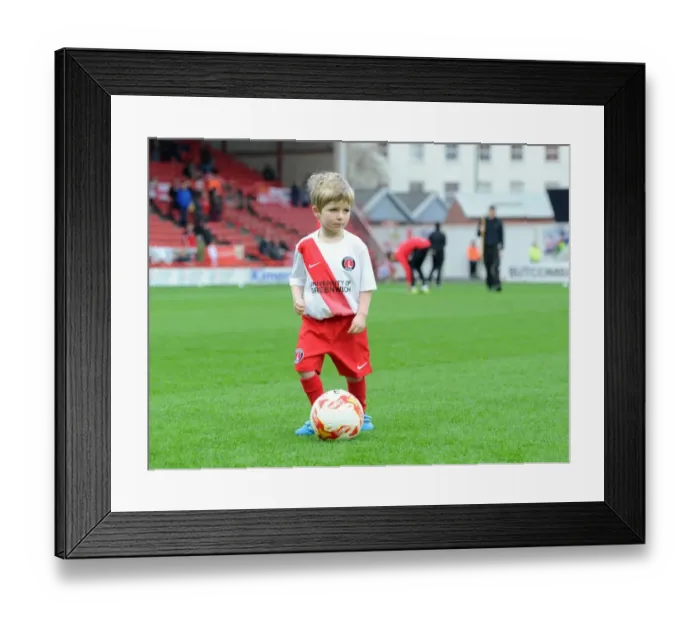 Framed Print : Bristol City vs Charlton Athletic: Sky Bet Championship Clash at Ashton Gate Stadium (December 2015) - Mascots and Action on the Field