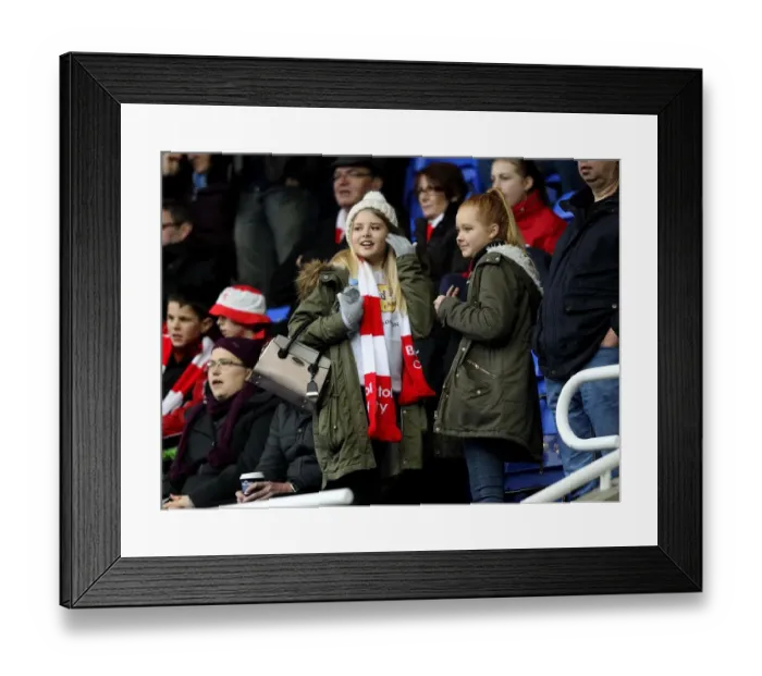 Framed Print : Bristol City Fans Cheering at Madejski Stadium during Sky Bet Championship Match, 2016 Framed Print : Bristol City Fans Cheering at Madejski Stadium during Sky Bet Championship Match, 2016