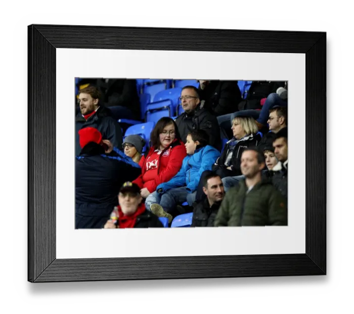 Framed Print : Bristol City Supporters at Reading's Madejski Stadium, Sky Bet Championship Match (2016) Framed Print : Bristol City Supporters at Reading's Madejski Stadium, Sky Bet Championship Match (2016)