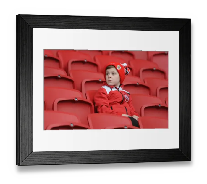 Framed Print : Bristol City Fans Gather Before Kick-off Against Middlesbrough, Ashton Gate Stadium, 2016 Framed Print : Bristol City Fans Gather Before Kick-off Against Middlesbrough, Ashton Gate Stadium, 2016