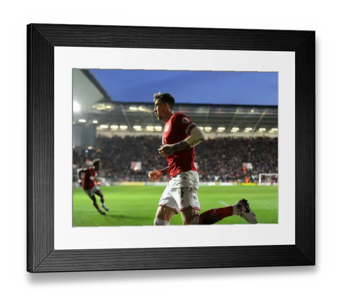 Framed Print : Aden Flint and Wes Burns Celebrate Goal: Bristol City vs. Middlesbrough, Sky Bet Championship (16 / 01 / 2016)