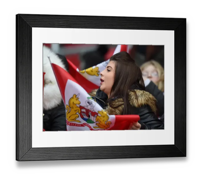 Framed Print : Tense Championship Showdown: Bristol City vs Middlesbrough at Ashton Gate Stadium (January 2016)