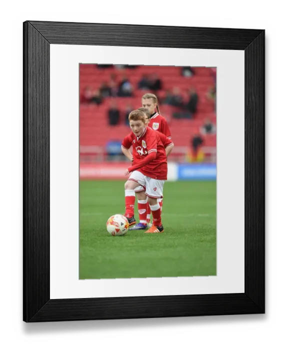 Framed Print : Bristol City Mascot vs Middlesbrough Mascot: Sky Bet Championship Clash at Ashton Gate Stadium (January 16, 2016) Framed Print : Bristol City Mascot vs Middlesbrough Mascot: Sky Bet Championship Clash at Ashton Gate Stadium (January 16, 2016)