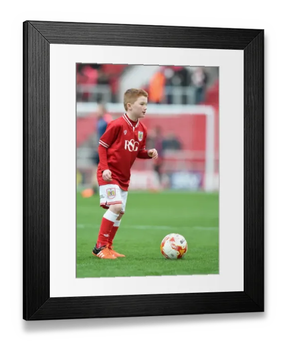 Framed Print : Sky Bet Championship Showdown: A Mascot Battle at Ashton Gate - Bristol City vs Middlesbrough (January 16, 2016) Framed Print : Sky Bet Championship Showdown: A Mascot Battle at Ashton Gate - Bristol City vs Middlesbrough (January 16, 2016)