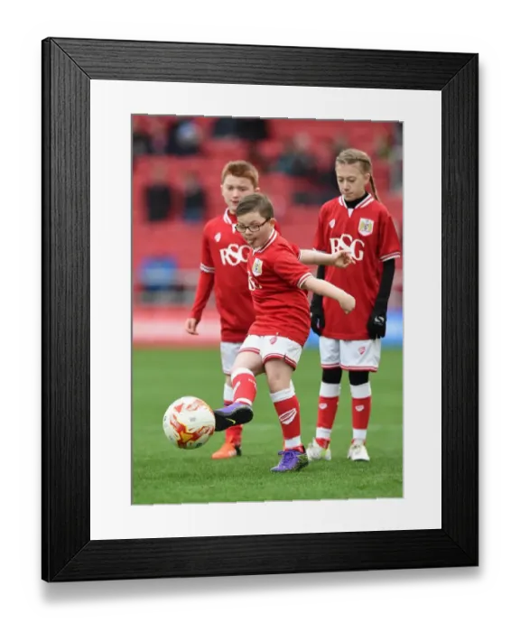 Framed Print : Bristol City Mascot at Ashton Gate Stadium for Sky Bet Championship Game vs Middlesbrough (January 16, 2016) Framed Print : Bristol City Mascot at Ashton Gate Stadium for Sky Bet Championship Game vs Middlesbrough (January 16, 2016)