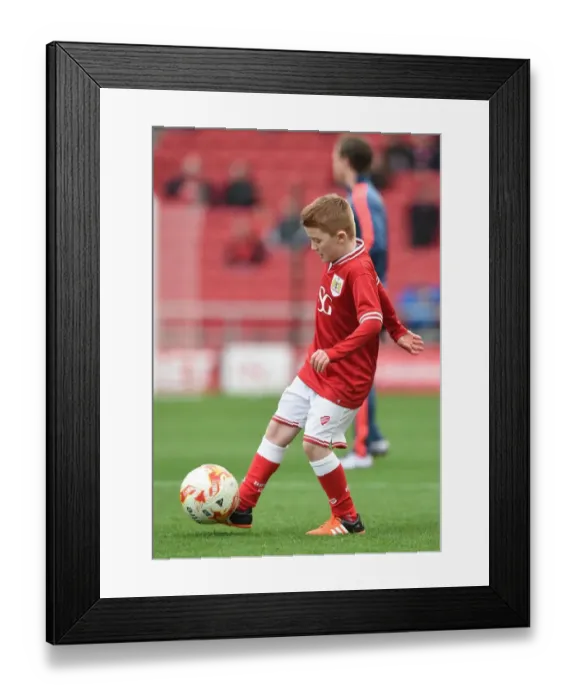 Framed Print : Sky Bet Championship Showdown: Mascots in Action - Bristol City vs Middlesbrough (January 16, 2016) Framed Print : Sky Bet Championship Showdown: Mascots in Action - Bristol City vs Middlesbrough (January 16, 2016)