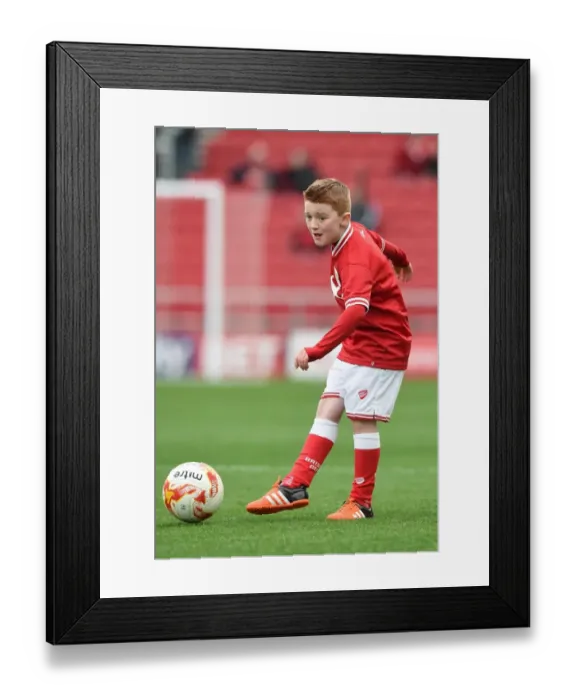 Framed Print : Bristol City Mascot at Ashton Gate Stadium for Sky Bet Championship Game vs Middlesbrough (January 16, 2016)