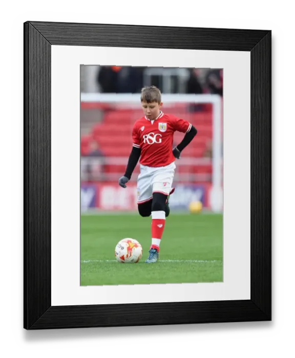 Framed Print : Sky Bet Championship: Mascots and Action at Ashton Gate - Bristol City vs Middlesbrough (January 2016) Framed Print : Sky Bet Championship: Mascots and Action at Ashton Gate - Bristol City vs Middlesbrough (January 2016)