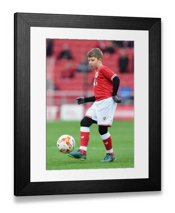Framed Print : Bristol City Mascot at Ashton Gate Stadium for Sky Bet Championship Game vs Middlesbrough (January 16, 2016) Framed Print : Bristol City Mascot at Ashton Gate Stadium for Sky Bet Championship Game vs Middlesbrough (January 16, 2016)