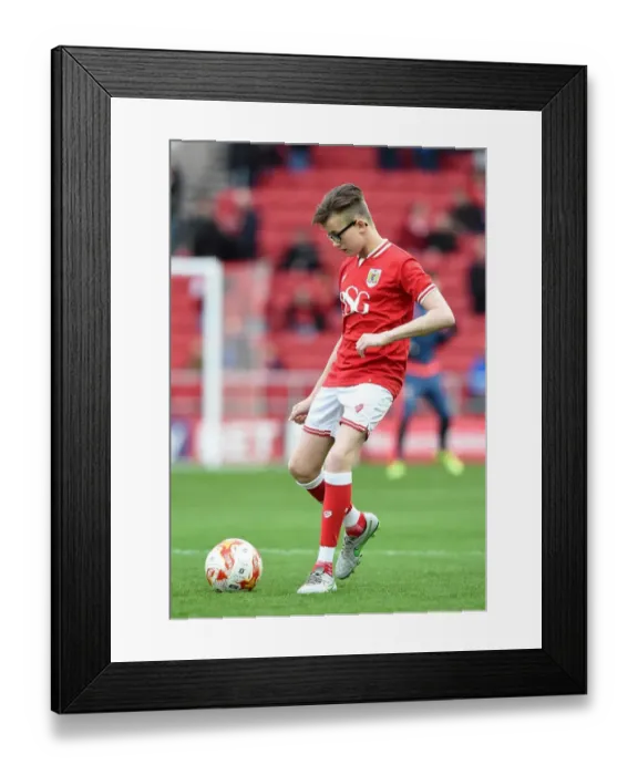 Framed Print : Sky Bet Championship: Mascots and Action at Ashton Gate - Bristol City vs Middlesbrough (January 16, 2016) Framed Print : Sky Bet Championship: Mascots and Action at Ashton Gate - Bristol City vs Middlesbrough (January 16, 2016)