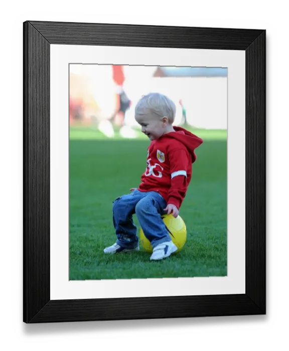 Framed Print : Sky Bet Championship Showdown: Mascots in Action - Bristol City vs Birmingham City (January 2016) Framed Print : Sky Bet Championship Showdown: Mascots in Action - Bristol City vs Birmingham City (January 2016)
