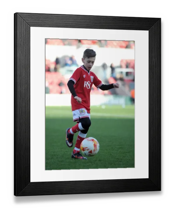 Framed Print : Sky Bet Championship Showdown: Mascots in Action - Bristol City vs Birmingham City (January 2016) Framed Print : Sky Bet Championship Showdown: Mascots in Action - Bristol City vs Birmingham City (January 2016)