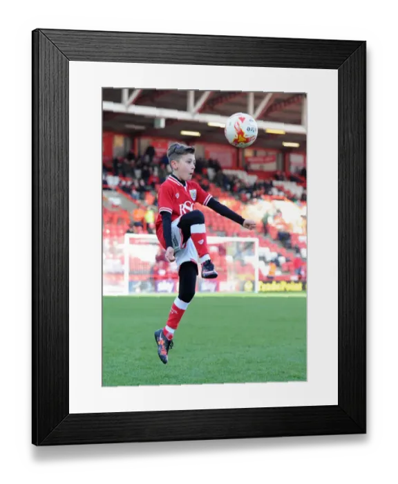 Framed Print : Sky Bet Championship Showdown: Mascots Clash at Ashton Gate Stadium - Bristol City vs Birmingham City (January 2016) Framed Print : Sky Bet Championship Showdown: Mascots Clash at Ashton Gate Stadium - Bristol City vs Birmingham City (January 2016)