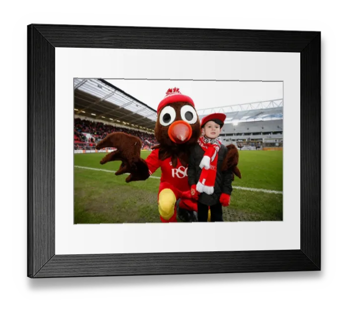 Framed Print : Young Fan and Scrumpy at Ashton Gate: Bristol City vs Birmingham City, 2016 Framed Print : Young Fan and Scrumpy at Ashton Gate: Bristol City vs Birmingham City, 2016