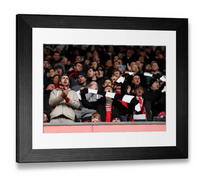 Framed Print : Charlton Athletic Fans Protest Against Club Owners During Charlton v Bristol City Match, 2016