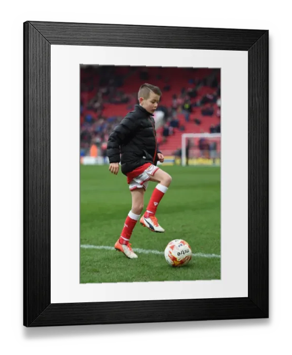 Framed Print : Mascots Clash: Bristol City vs Ipswich Town at Ashton Gate Stadium (February 13, 2016)