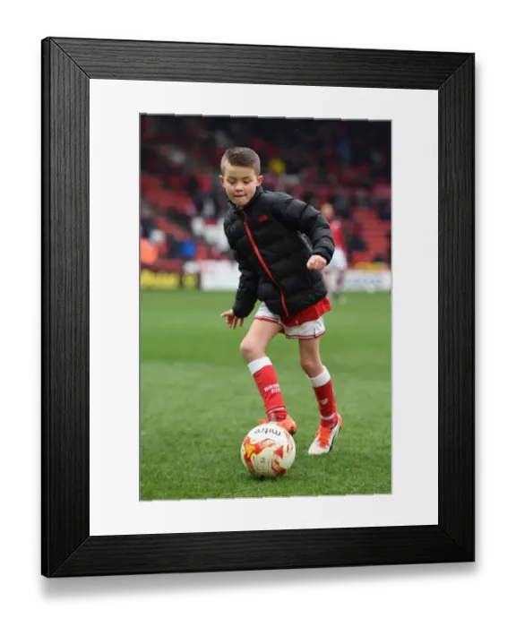 Framed Print : Sky Bet Championship Showdown: Mascots in Action - Bristol City vs Ipswich Town at Ashton Gate Stadium (February 2016)