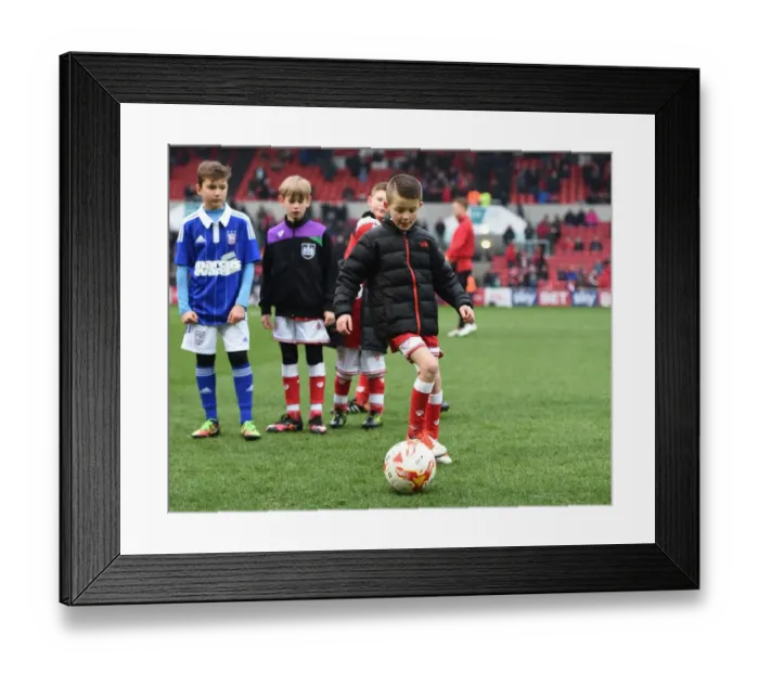 Framed Print : Mascots Face Off: Bristol City vs Ipswich Town at Ashton Gate Stadium (February 13, 2016) Framed Print : Mascots Face Off: Bristol City vs Ipswich Town at Ashton Gate Stadium (February 13, 2016)